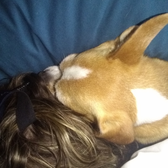 Meet your Posher, Beth - Picture 9 of 13